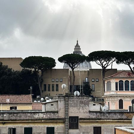 Museum Day Vatican Róma Kültér fotó